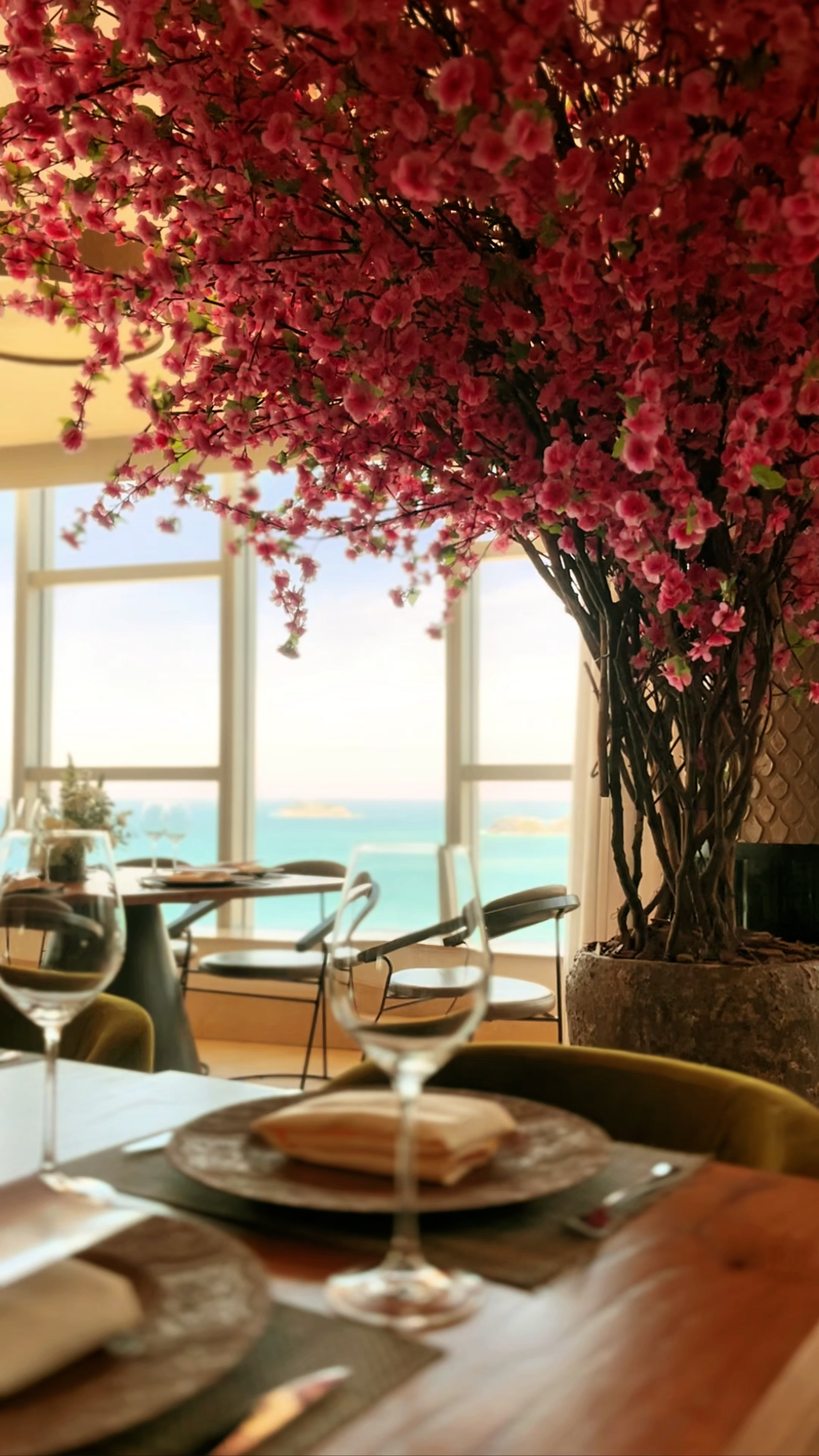 Video vertical de eventos